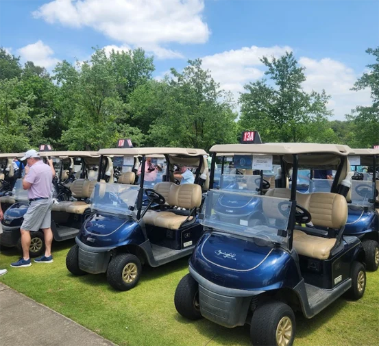 Golf carts parked in a line